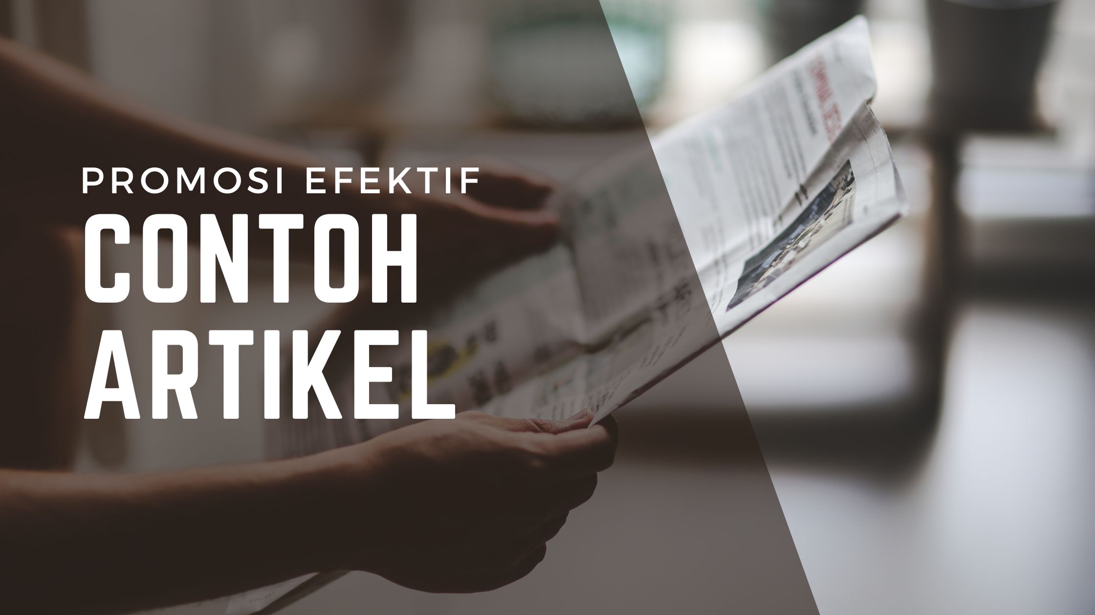 contoh artikel promosi