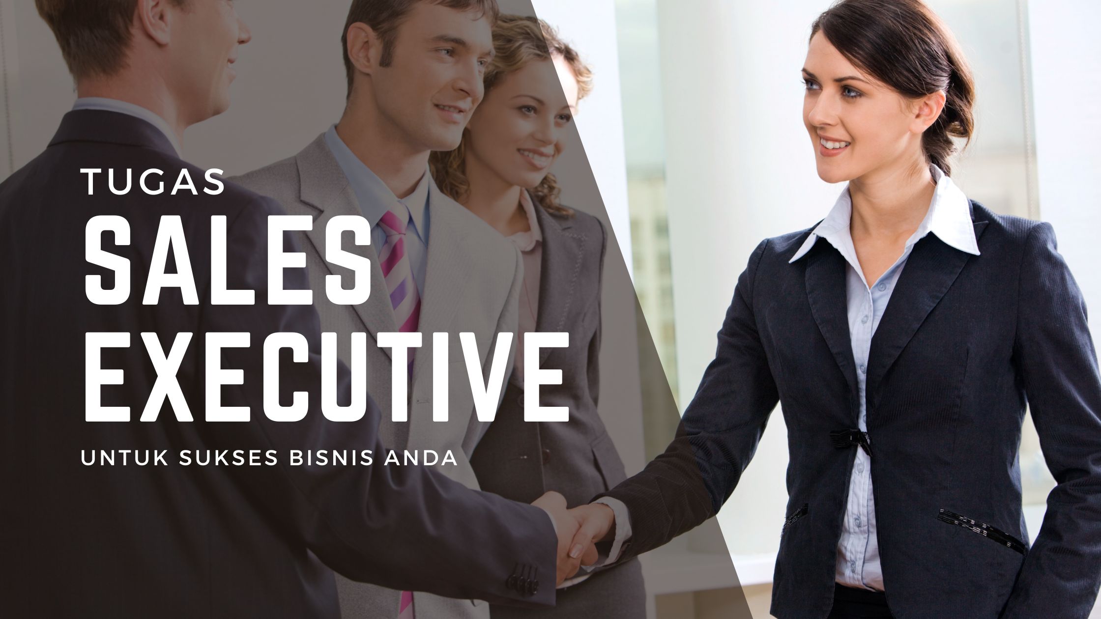 tugas sales executive